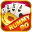 rummy bloc icon